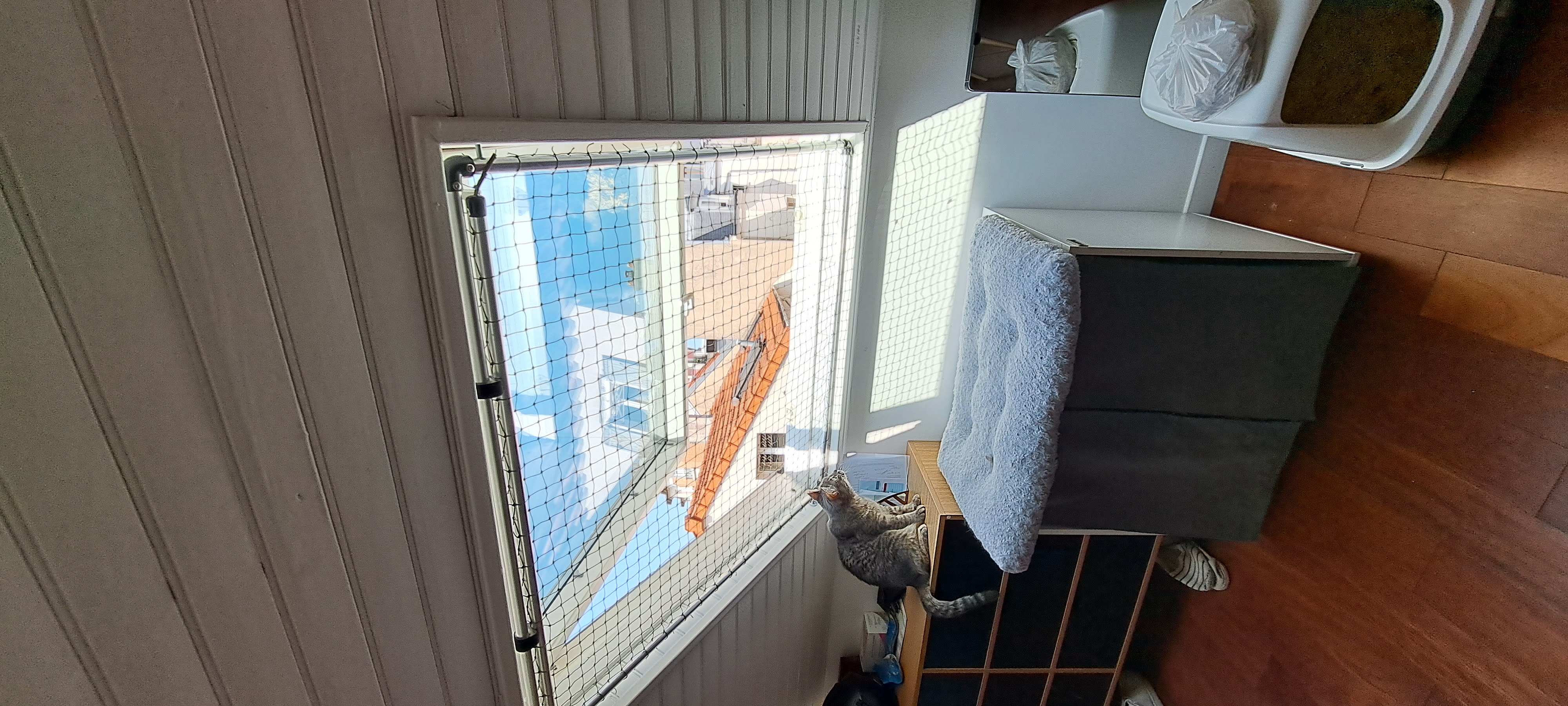 Protection chat velux