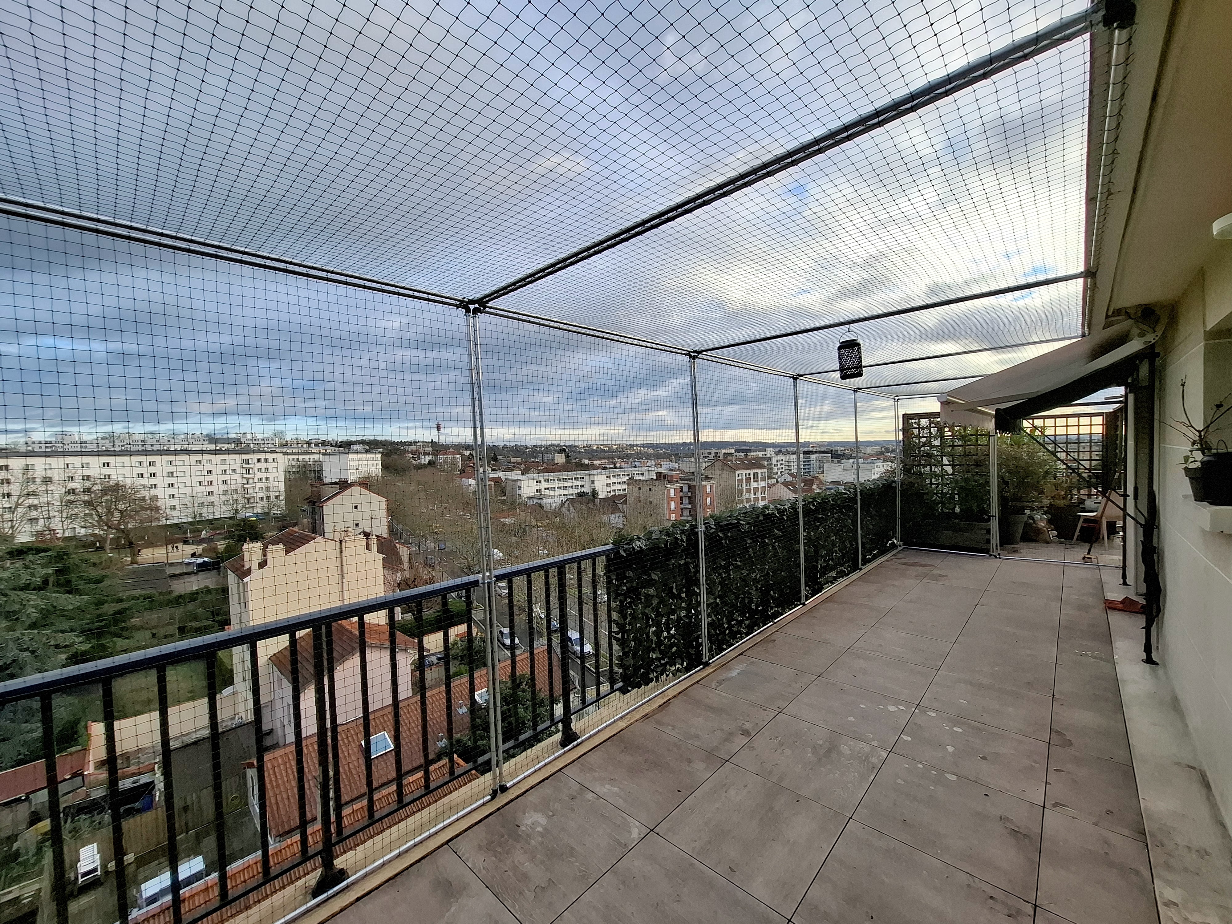 Protection chat terrasse
