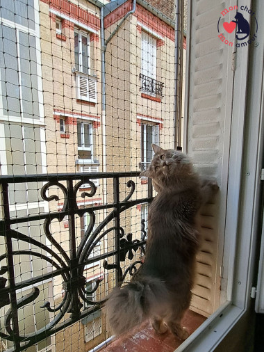 filet pour chat coulissant