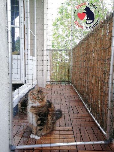 comment installer un filet chat sans percer