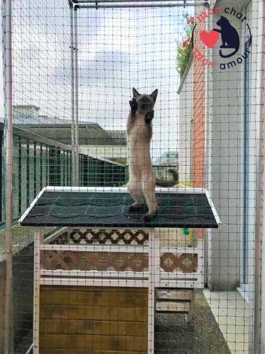cadre avec filet pour chat amovible sans trou ni vis
