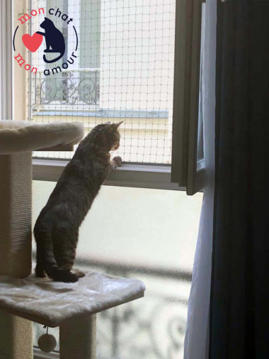 filet pour chat coulissant sans percement