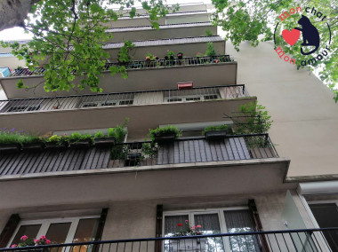 sécurité balcon chat sans trou