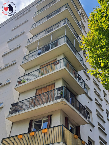 filet chat balcon