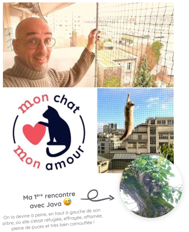 Professionnel filet pour chat