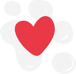 Un amour de chat