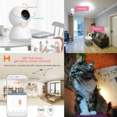 Caméra wifi de vidéosurveillance pour chat