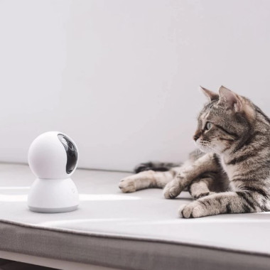 Caméra sans fil de vidéo surveillance pour chats