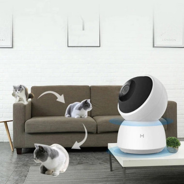Caméra de vidéosurveillance pour chat avec détection de mouvement